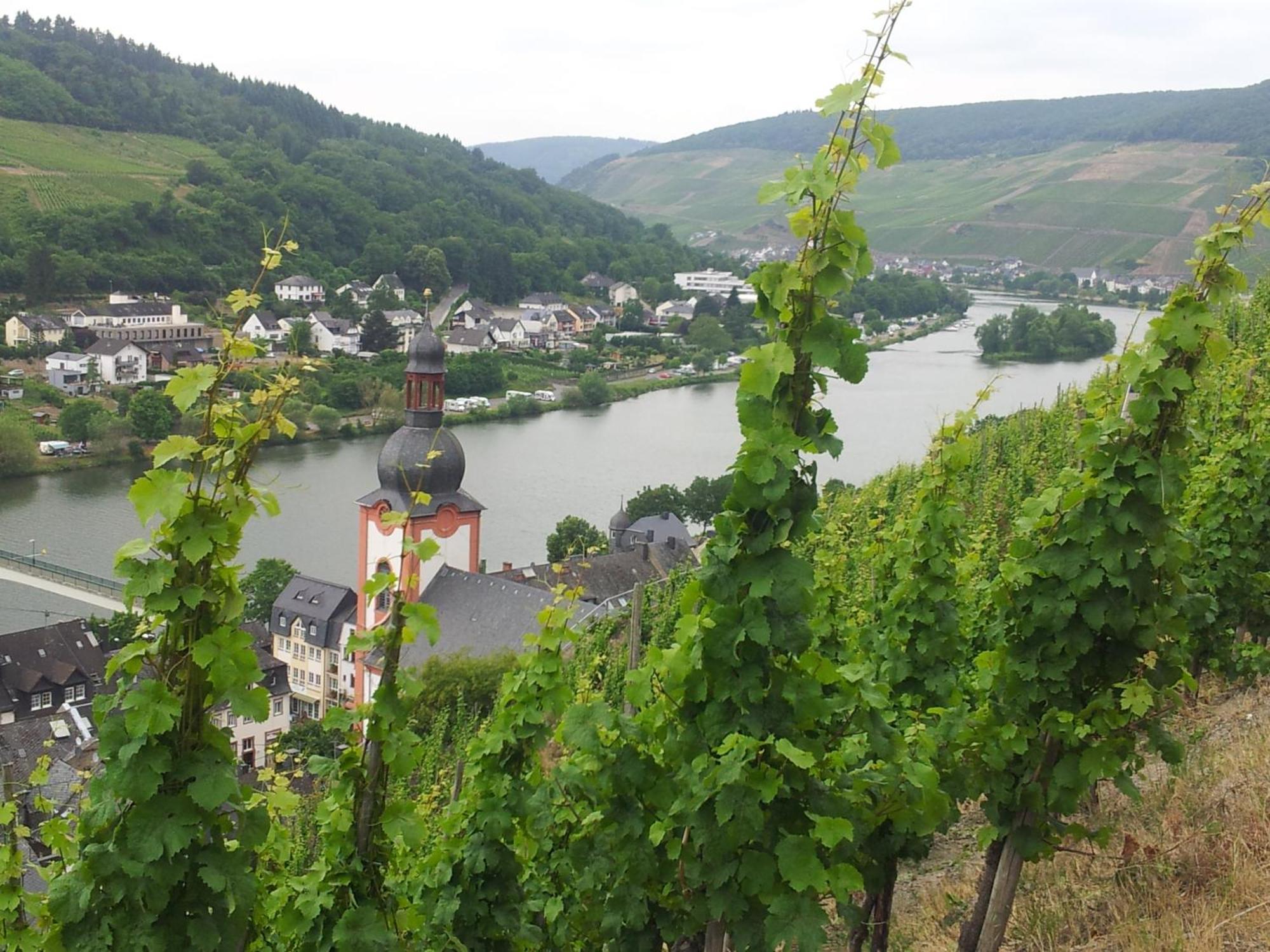 "Ferienhaus An Der Mosel" Целль-ан-дер-Мозель Екстер'єр фото