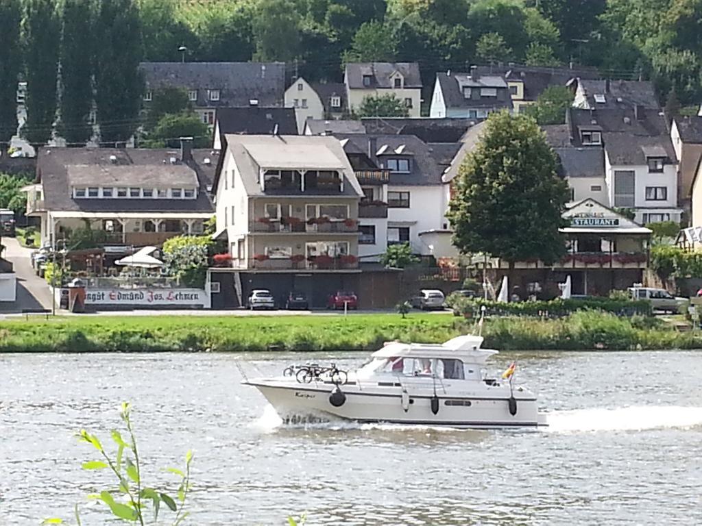 "Ferienhaus An Der Mosel" Целль-ан-дер-Мозель Екстер'єр фото